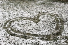 ok-IMG_7799