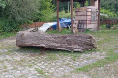 ok-IMG_5886