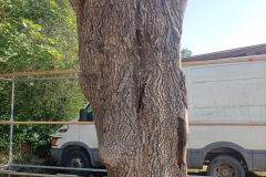 ok-IMG_5926