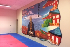 Karate Joigny