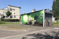 ok-IMG_5299