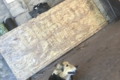 ok-IMG_6246