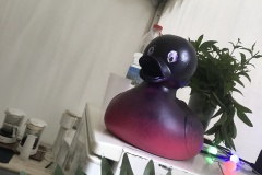 ok-IMG_5711