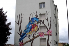 RADD 2017 - Oiseau
