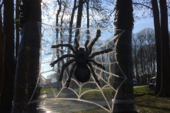 ok-IMG_0190