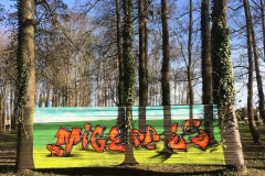 ok-IMG_0200