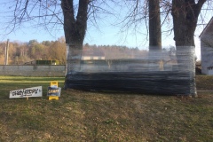 ok-IMG_0228