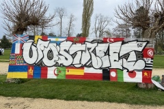 IMG_2959-copie